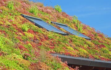 Husthwaite living roof systems